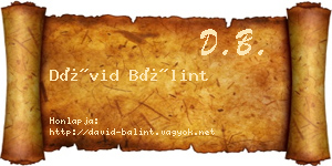 Dávid Bálint névjegykártya